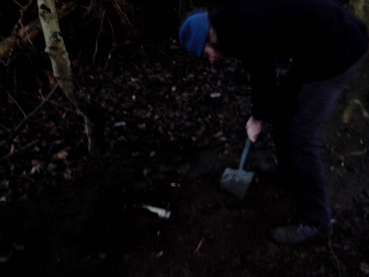 Country Gardens by Robert Blatt