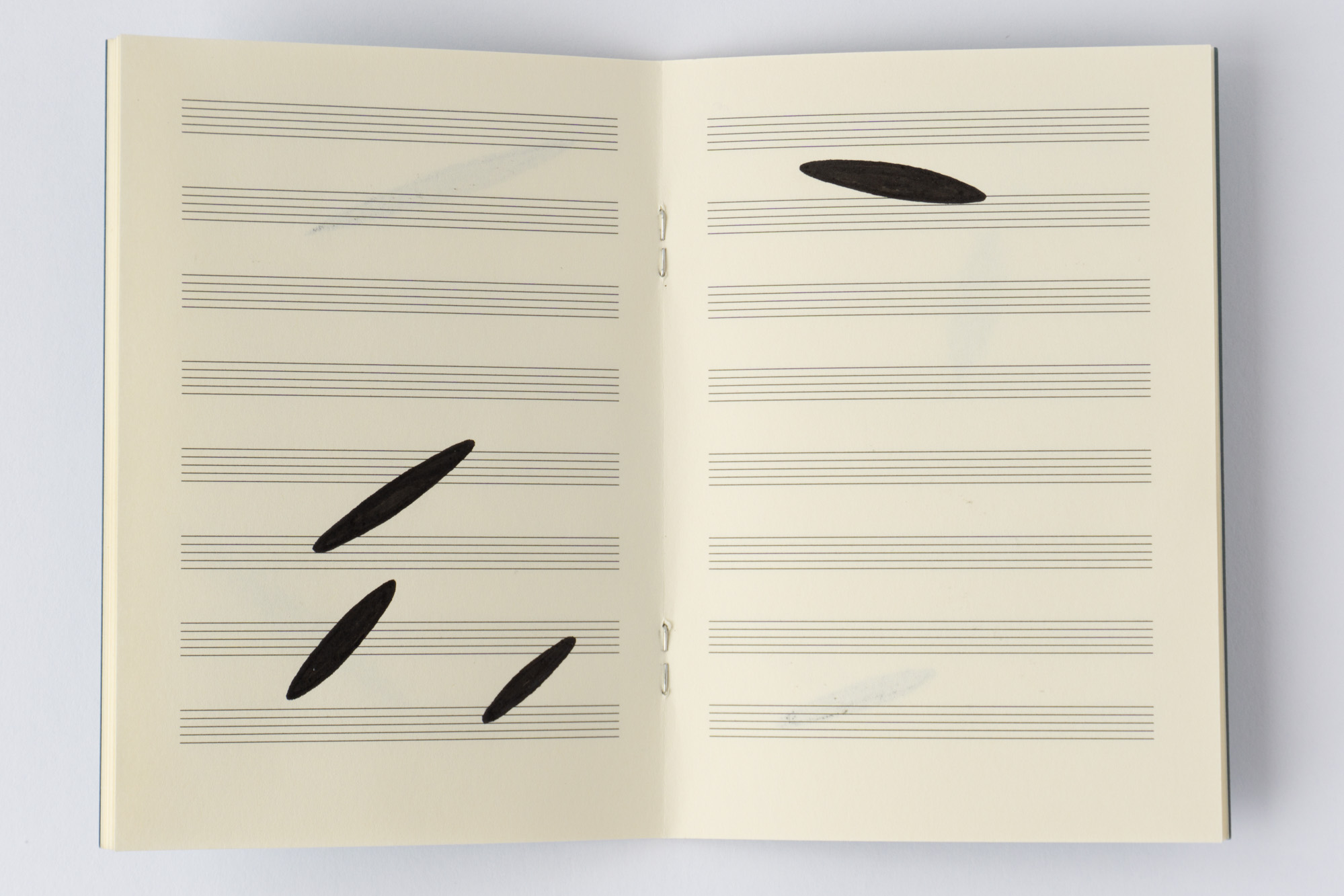 Negative Transcriptions by Robert Blatt