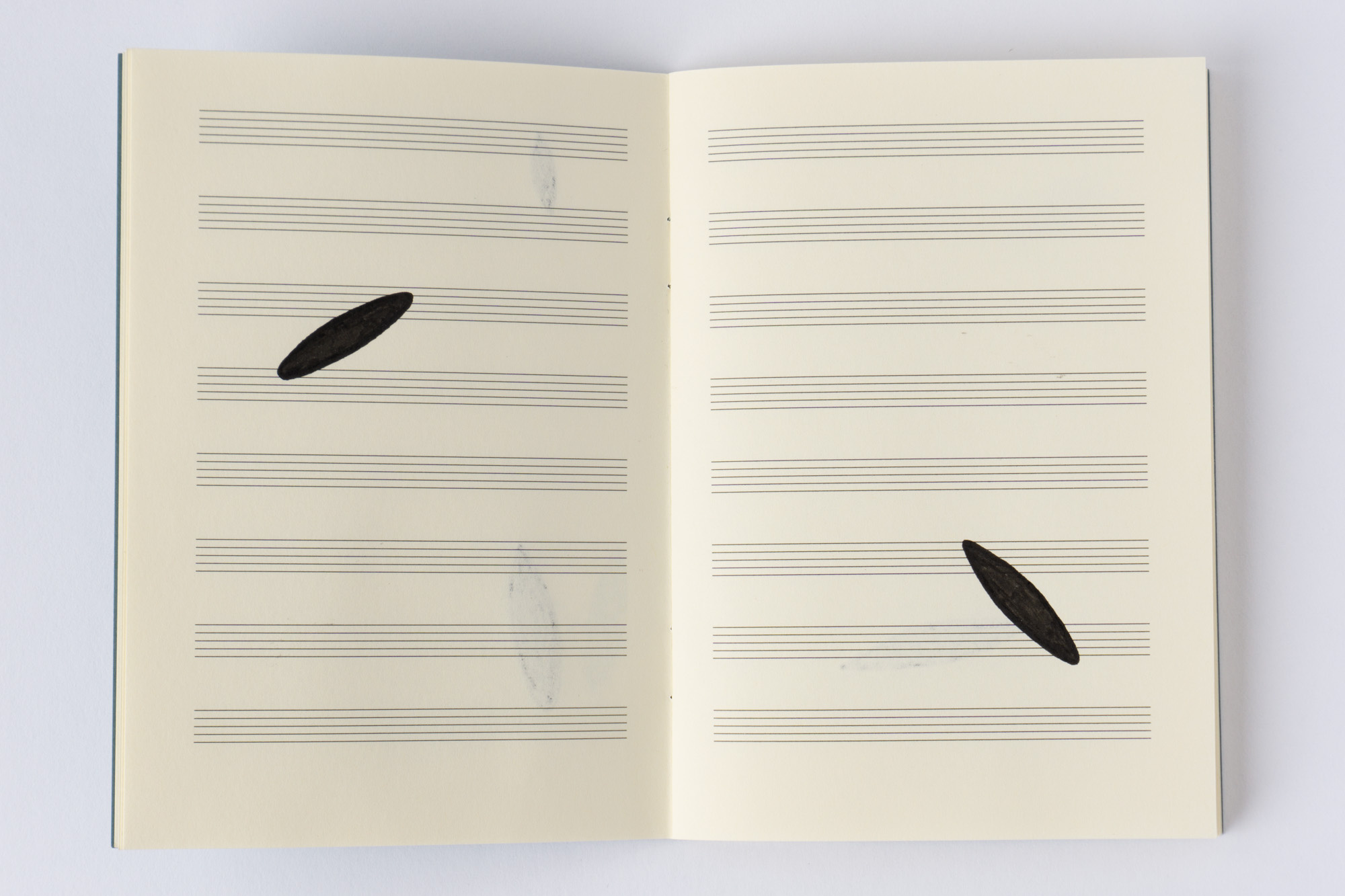 Negative Transcriptions by Robert Blatt