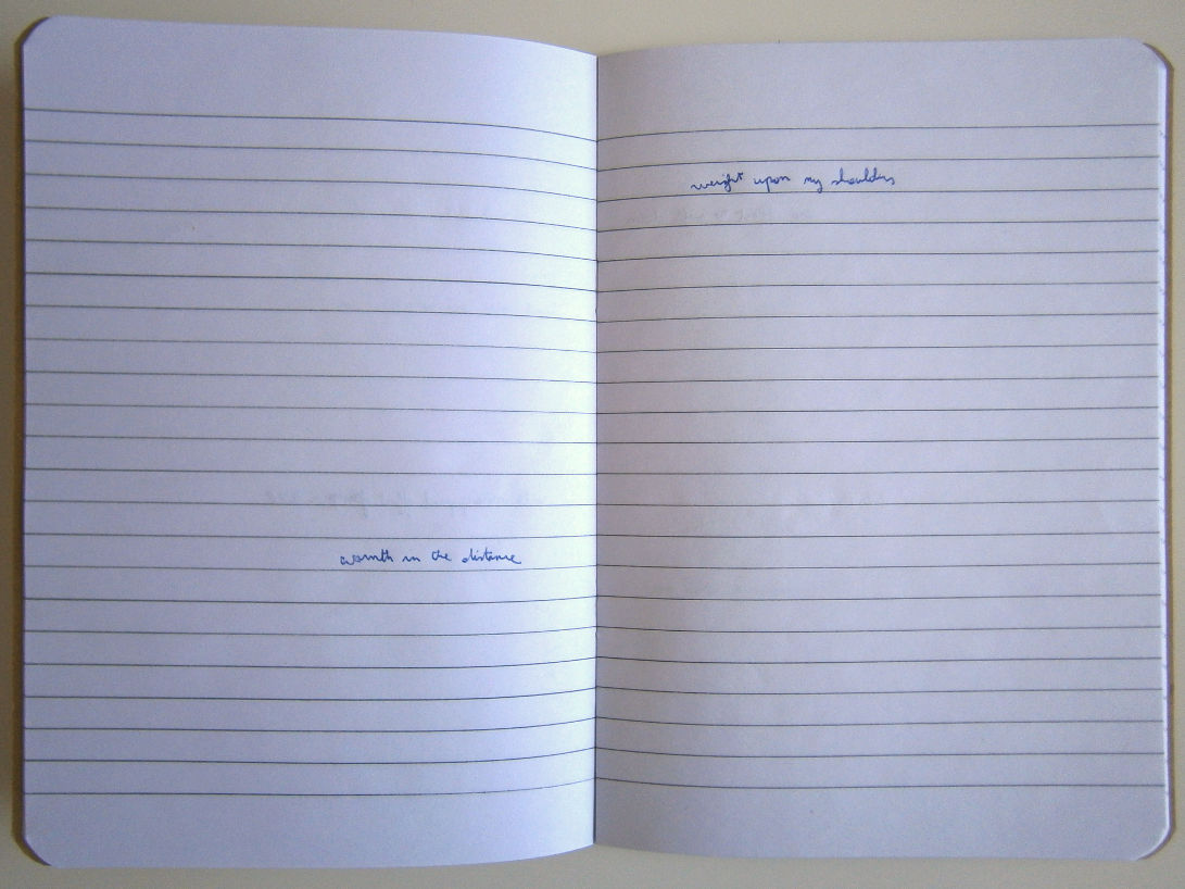 Recording Series (Beach Bums)