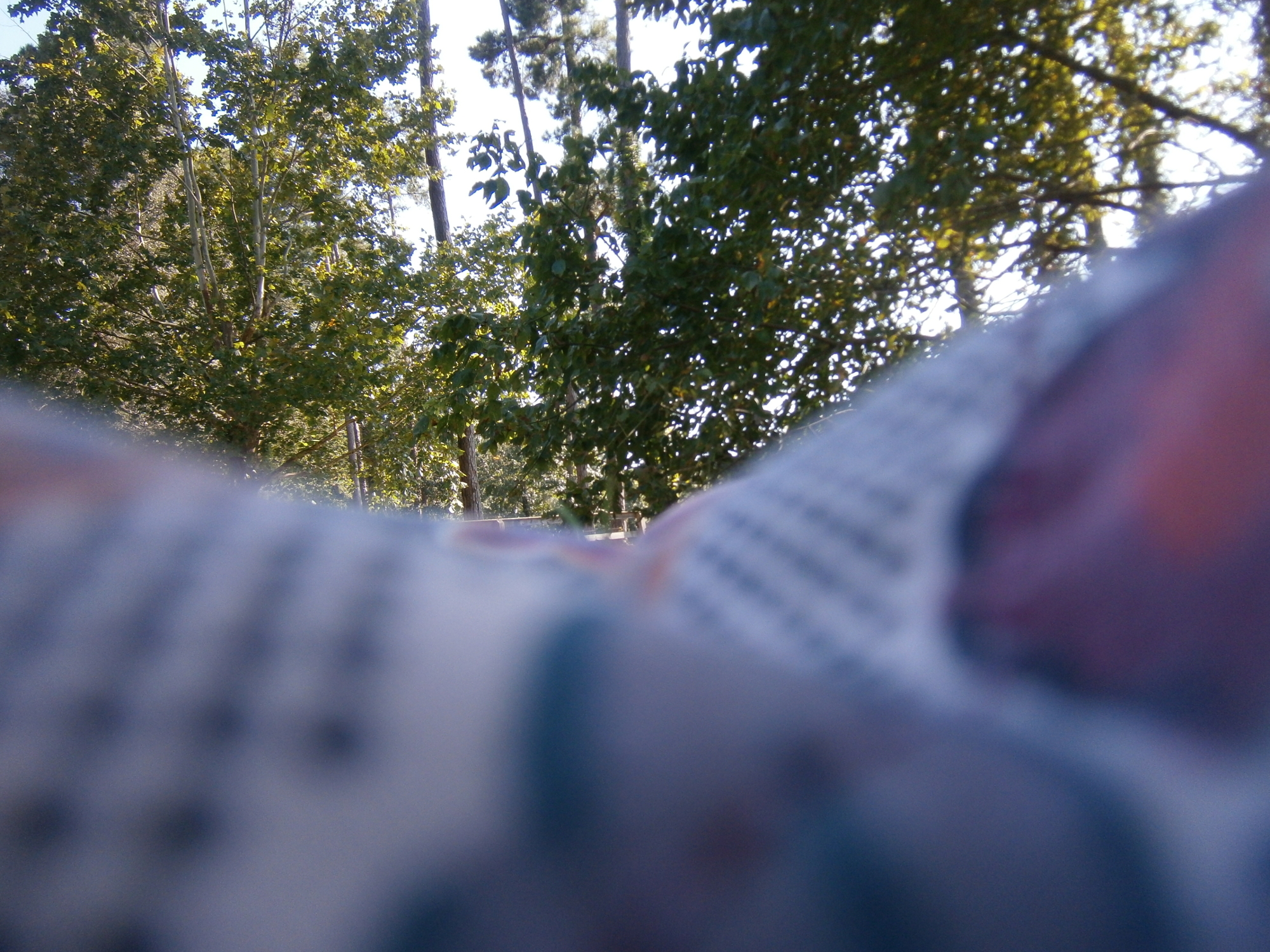 sheets by Robert Blatt